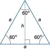 http://www.math24.ru/images/equilateral-triangle1.jpg