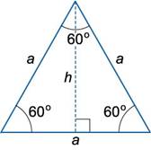 http://www.math24.ru/images/equilateral-triangle1.jpg